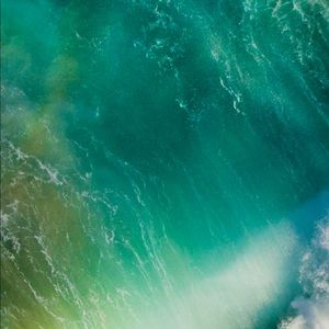 Meet your Posher, Kali